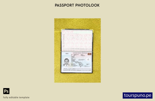 listo para imprimir pasaporte de México nueva plantilla de aspecto fotográfico a